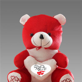 Love Quote Soft Teddy